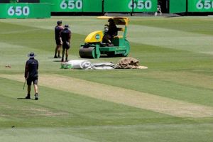 'పచ్చికను చూసి భయపడొద్దు, పగుళ్లు రాకపోవచ్చు'