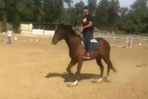 గుర్రం మీద సవారీ చేస్తున్న టీమిండియా క్రికెటర్ (వీడియో)