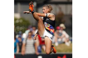 ఆ గోల్ ఎంత పని చేసింది: సెక్సీ కామెంట్లు, జంతువులన్న ప్లేయర్