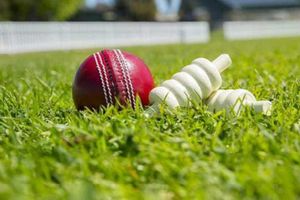 భారత్-పాక్ మ్యాచ్‌లో ఉపయోగించిన బంతి వేలంలో ఎంత ధర పలికిందంటే!