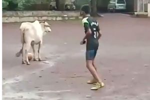 వీడియో: డిఫెన్స్ లేదు..అటాకింగ్ లేదు! కుమ్మేయ‌డ‌మే!