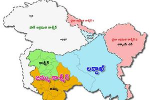 ఆర్టికల్ 370 రద్దు: ఇప్పుడు MSD అంటే మహేంద్ర సింగ్ ధోని కాదు!