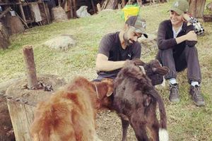 భుటాన్‌ ట్రిప్.. లేగ దూడలు, కుక్కపిల్లతో 'విరుష్క' ఆటలు!!