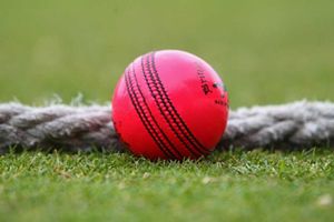 Day-Night Test: పింక్‌ బాల్‌తో టీమిండియా ప్రాక్టీస్‌.. షురూ చేసింది కోహ్లీనే!!