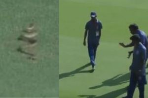Ranji Trophy 2019-20: మైదానంలోకి పాము, భయపడ్డ ఆటగాళ్లు, నిలిచిన ఆట (వీడియో)