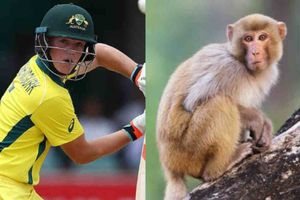 ఆసీస్ బ్యాట్స్‌మన్‌ను కరిచిన కోతి.. ప్రపంచకప్‌ నుంచి ఔట్!!