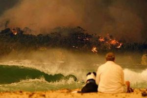 వార్నర్ భావోద్వేగం: సిడ్నీ టెస్టులో నలుపురంగు బ్యాండ్ ధరించనున్న ఇరు జట్లు