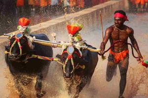 శాయ్ ట్రయల్స్‌కి నో.. భారత్ బోల్ట్ సంచలన ప్రకటన!!