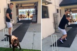 మార్న‌స్ ల‌బుషేన్ బ్యాటింగ్‌.. శునకం కీపింగ్‌!!