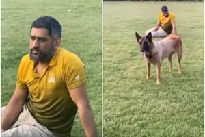 వైరల్ వీడియో: ధోనీ మాట వినని సామ్‌.. ఆటపట్టించిన సాక్షి!!