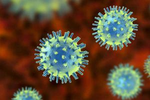 కరోనా‌తో మరో పాకిస్థాన్ క్రికెటర్ మృతి!!