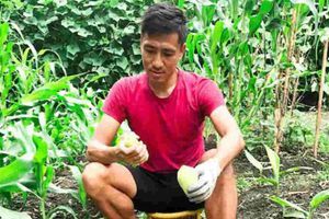 కరోనా ఎఫెక్ట్.. కూరగాయలు పండిస్తున్న మాజీ కెప్టెన్‌!!