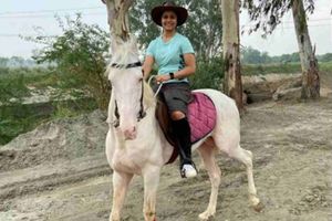 లాక్‌డౌన్‌లో బిజీబిజీ.. గుర్రపు స్వారీ‌.. ట్రాక్టర్‌ డ్రైవింగ్‌!!