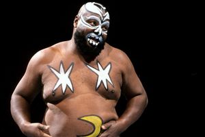 నేలకొరిగిన డబ్ల్యూడబ్ల్యూఈ దిగ్గజం.. శోకసంధ్రంలో క్రీడాలోకం!