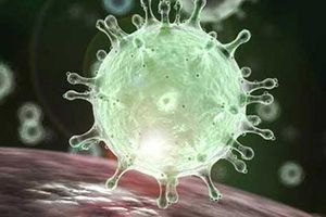 IPL 2020: బీసీసీఐ అధికారికి కరోనా!!