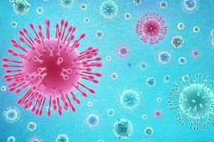 India vs Australia: పెరిగిన కరోనా కేసులు.. తొలి టెస్ట్ డౌటే.. సిరీస్‌ కూడా అనుమానమే?