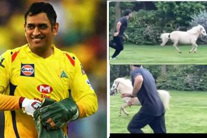 ఎవడ్రా ధోనీకి వయసు అయిపోయిందన్నది.. రేసుగుర్రంతోనే పరుగు పందెం! (వీడియో)