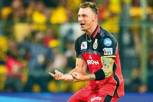 ఆ అభిమానం వేరే లెవెల్.. భారత ఫాన్స్ క్రికెట్‌ను మరో స్థాయికి తీసుకెళ్లారు: స్టెయిన్