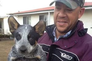 సైమండ్స్ మృతదేహం వద్ద అతని పెంపుడు కుక్క చేసిన పనికి కళ్లల్లో నీళ్లు తిరిగాయి