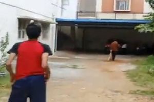 ఓరీ మీ వేషాలో.. గల్లీ క్రికెట్‌కు సంస్కృతంలో కామెంట్రీ.. నెట్టింట రచ్చ! (వీడియో)