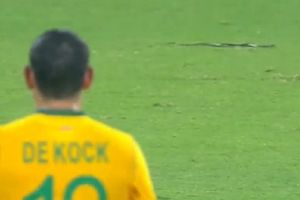 IND vs SA: విచిత్ర ఘటన.. మైదానంలోకి పాము.. ఆటకు అంతరాయం!