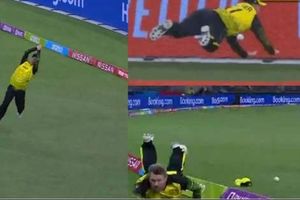 T20 World Cup 2022: డేవిడ్ వార్నర్ కళ్లు చెదిరే క్యాచ్.. చూస్తే వావ్ అనాల్సిందే! (వీడియో)