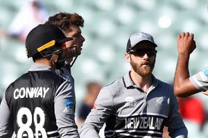 T20 World Cup 2022: కేన్‌ మామ.. నీ గుండె గట్టిదయ్యా! ఒకటా.. రెండా.. నాలుగు సార్లు నిరాశే!