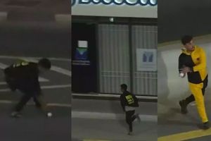 వీడియో వైరల్: భారీ షాట్‌తో స్టేడియం బయట పడిన బంతి.. ఎత్తుకెళ్లిపోయిన ఫ్యాన్!