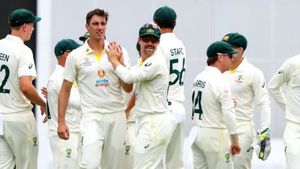 INDvsAUS : ఏదో ఒకటి చెయ్యండి బాస్.. లేదంటే పొట్లంగాళ్లు అంటారు: ఆసీస్‌కు మాజీ లెజెండ్ చురకలు!