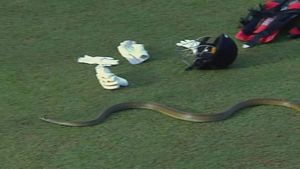 నాగిని ఈజ్ బ్యాక్.. మ్యాచ్ మధ్యలో పాము కలకలం.. డీకే ట్వీట్ వైరల్!