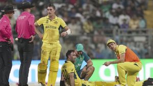 మ్యాక్స్‌వెల్‌ గాయంపై అప్‌డేట్ ఇచ్చిన కేప్టెన్ పాట్ కమ్మిన్స్