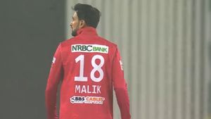 ఆ ఆరోపణలపై షోయబ్ మాలిక్ ఫైర్.!