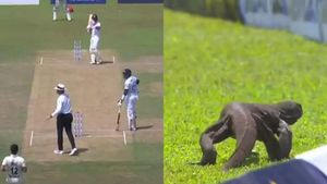 SL vs AFG: మైదానంలోకి ఉడుము.. ఆగిపోయిన మ్యాచ్ (Video)