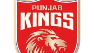 IPL 2024: కొత్త ప్లాన్‌తో పంజాబ్ కింగ్స్.. పాపం ఈసారి అయినా?