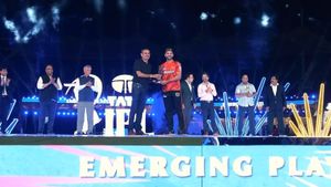 IPL 2024: సన్‌రైజర్స్ ఓడినా.. నితీష్ కుమార్ రెడ్డికి జాక్‌పాట్!