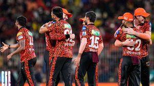 IPL 2024 ఫైనల్లో ఓడినా.. చరిత్ర సృష్టించిన సన్‌రైజర్స్ హైదరాబాద్!