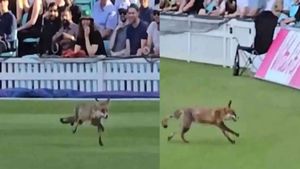 మ్యాచ్‌కు అంతరాయం కలిగించిన నక్క..!(వీడియో)