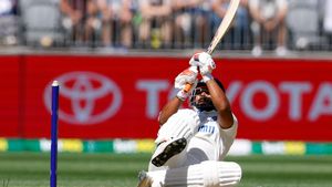 IND vs AUS: అలా ఎలా కొట్టావ్రా? కిందపడి సిక్సర్ బాదిన పంత్ (Video)