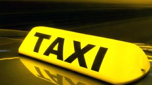 కెరీర్‌లో 800 వికెట్లు.. ట్యాక్సీ డ్రైవర్‌గా మారిన స్టార్ క్రికెటర్!