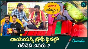 India vs New Zealand ఫైనల్.. చిలక జోస్యం ఏంటంటే..?