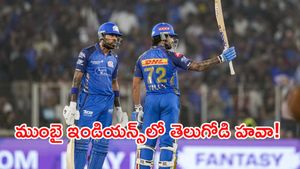 పాండ్యా పిచ్చ క్లాస్.. తెలుగోడు ఊర మాస్! (వీడియో)