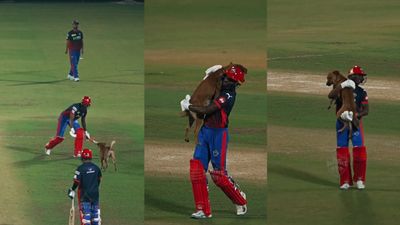 పిచ్‌పైకి వచ్చిన కుక్క.. ఢిల్లీ ప్లేయర్ ఏం చేశాడో చూశారా? వీడియో 