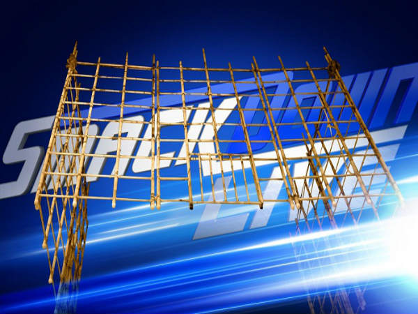 The Punjabi Prison will be back on Smackdown (image courtesy WWE.com) The Punjabi Prison will be back on Smackdown (image courtesy WWE.com)