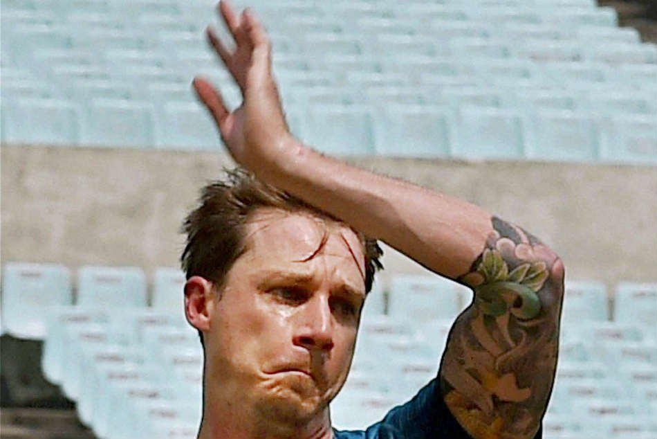 Dale Steyn