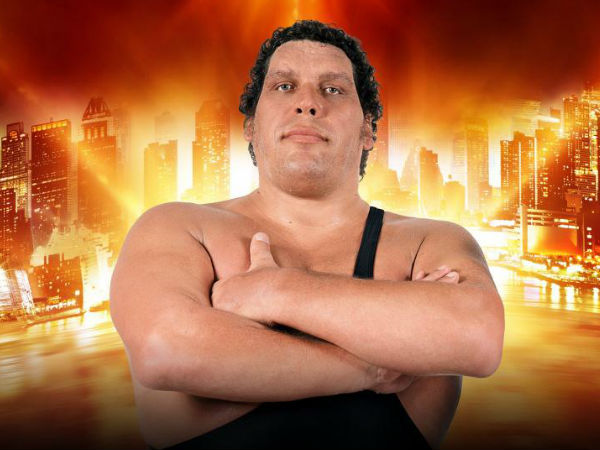 Andre the Giant Memorial Battle Royal