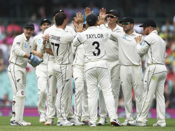 Not understimating Kiwis