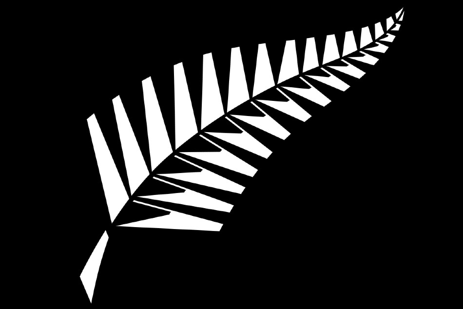 Fully-vaccinated New Zealand batsman Finn Allen tests COVID-19 positive on arrival in Bangladesh Fully-vaccinated New Zealand batsman Finn Allen tests COVID-19 positive on arrival in Bangladesh