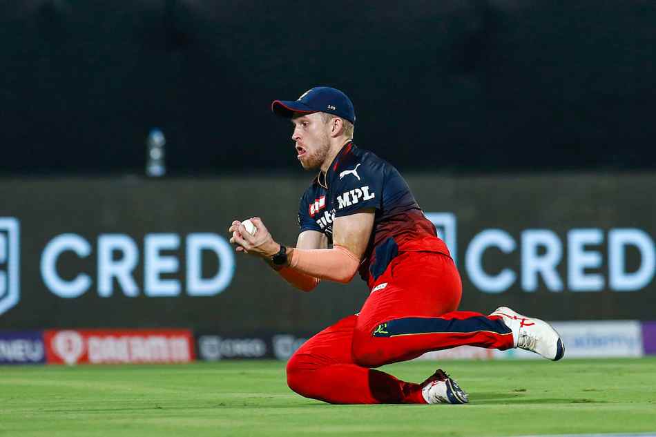David Willey of RCB David Willey of RCB