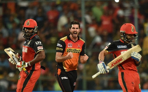 RCB past IPL playoff results