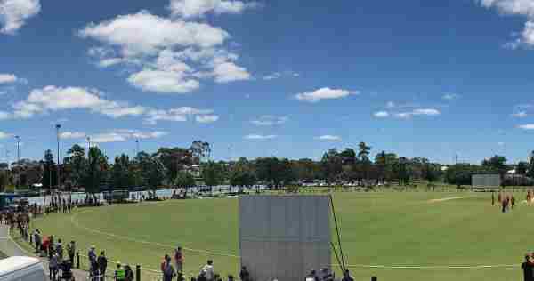 4. Geelong pitch report 